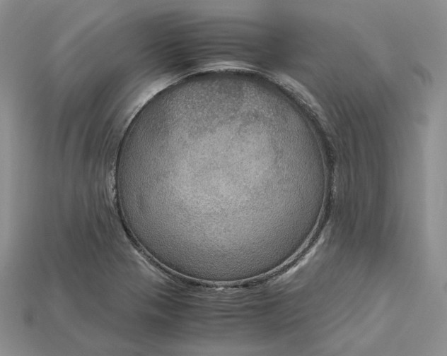 X0000115181321200911121752