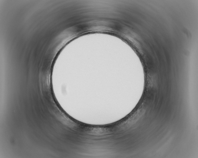 X0000115181322200911121752