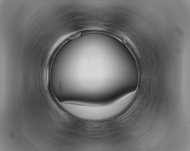 X0000115181323200911121752