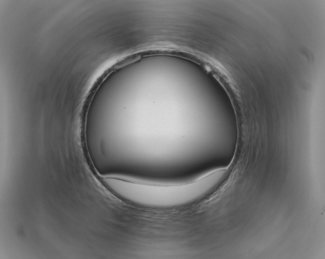 X0000115181326200911121752