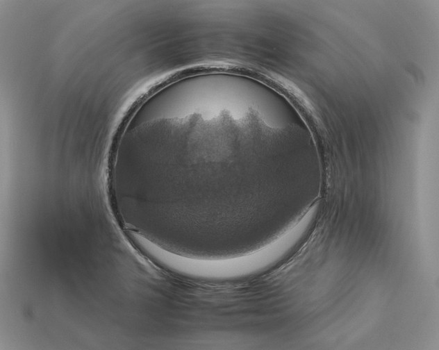 X0000115181327200911121752