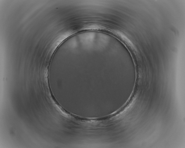 X0000115181329200911121752