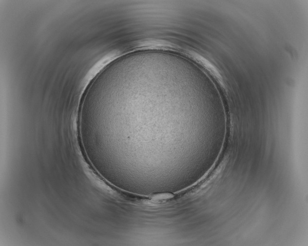 X0000115181330200911121752