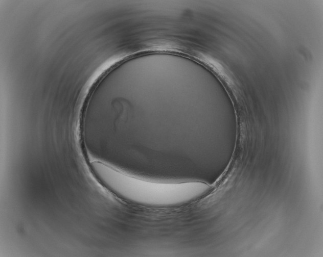 X0000115181331200911121752