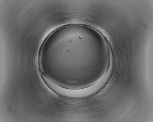 X0000115181334200911121752