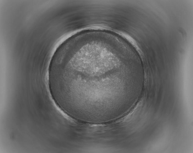 X0000115181335200911121753