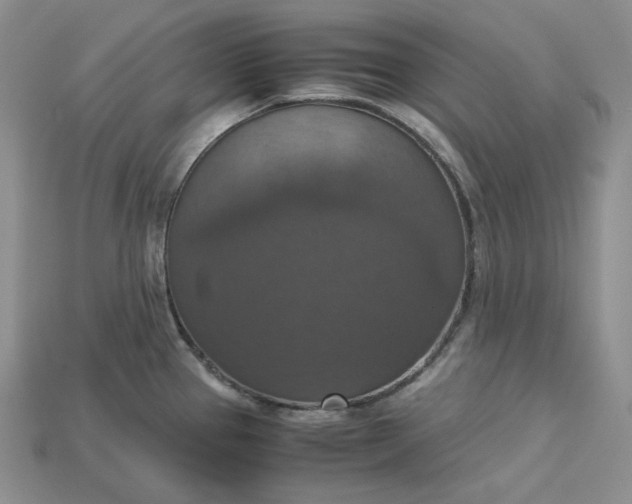X0000115181337200911121753