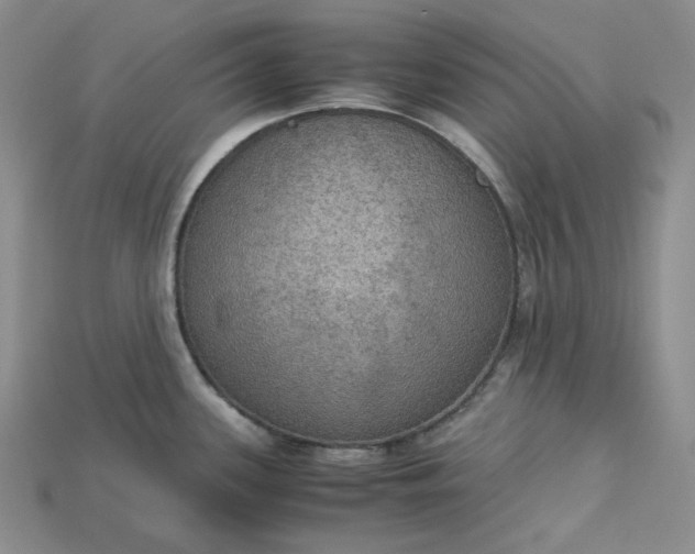 X0000115181339200911121753