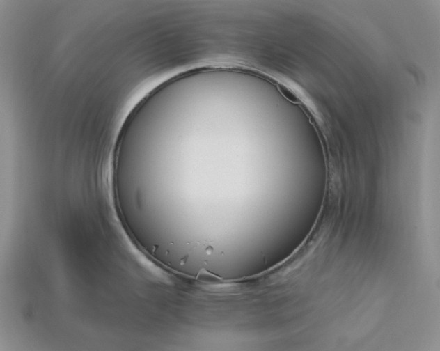 X0000115181343200911121753