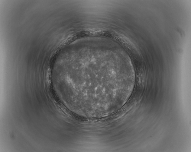 X0000115181346200911121752