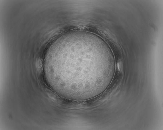 X0000115181347200911121752