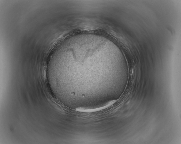 X0000115181348200911121752