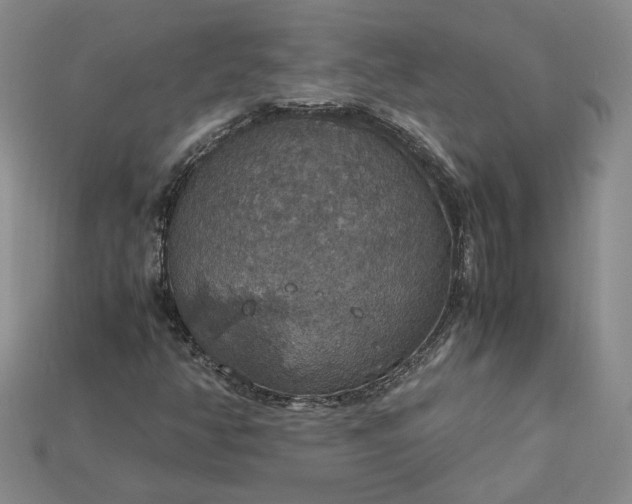 X0000115181350200911121752