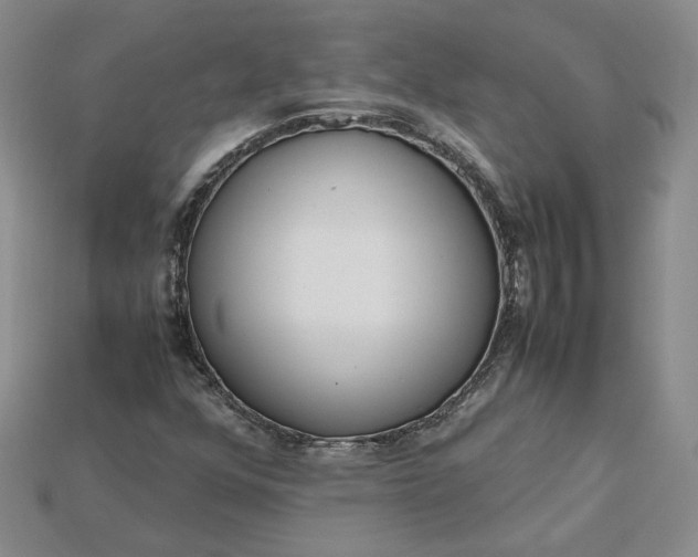 X0000115181352200911121752