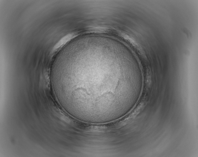 X0000115181354200911121752