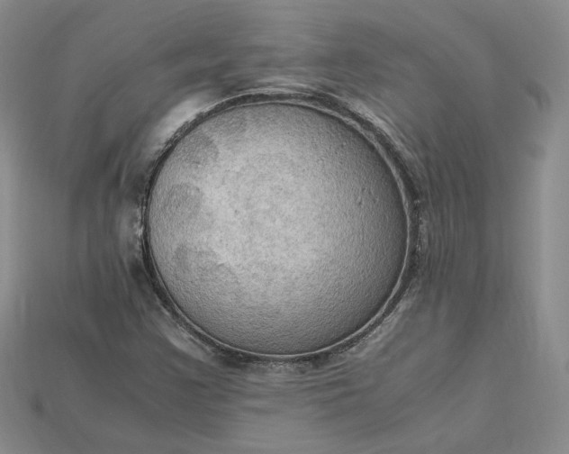 X0000115181355200911121752