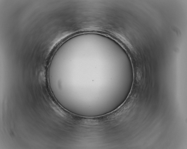 X0000115181356200911121752