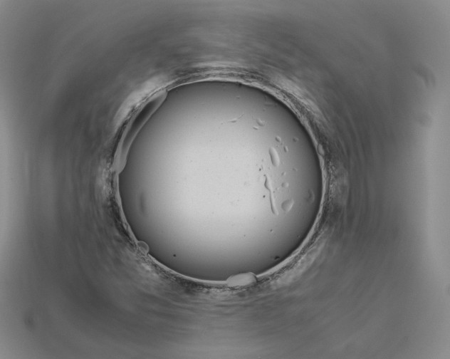X0000115181357200911121752