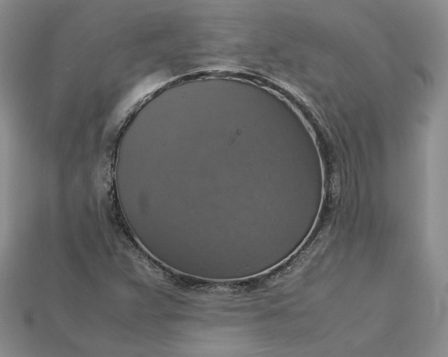 X0000115181359200911121752
