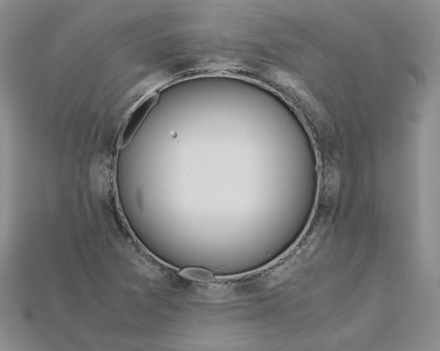 X0000115181361200911121752