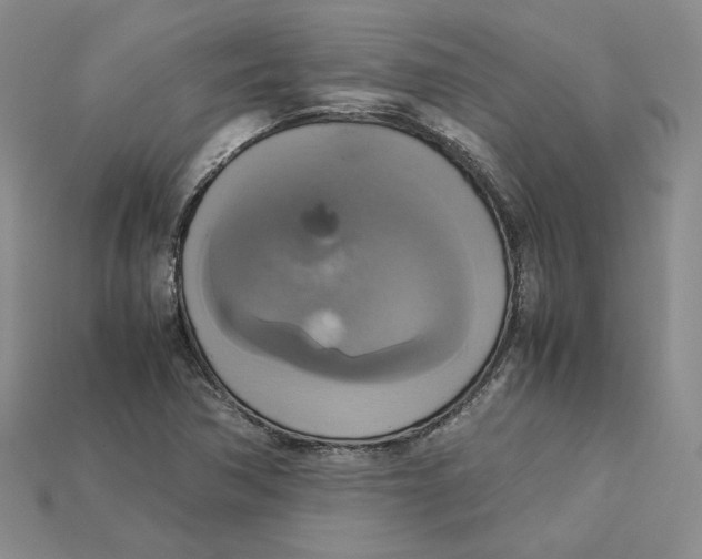 X0000115181362200911121752