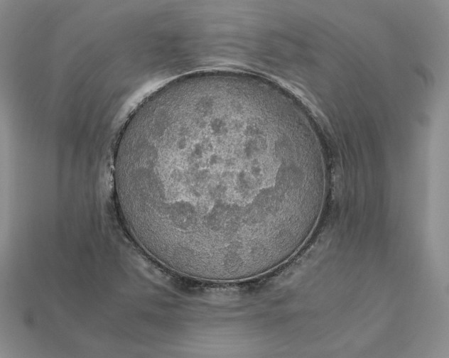 X0000115181363200911121752