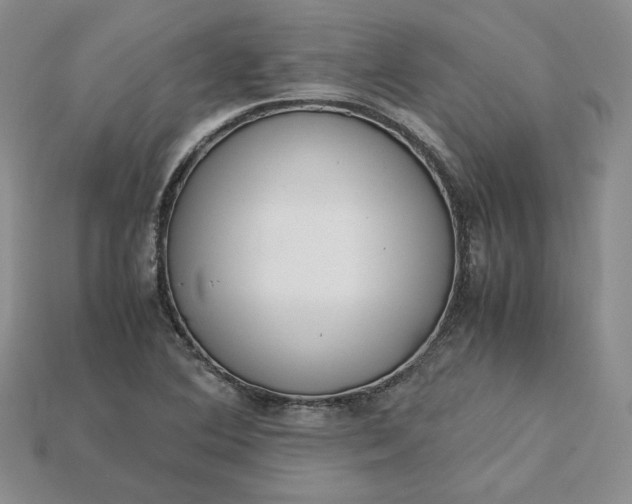 X0000115181364200911121752