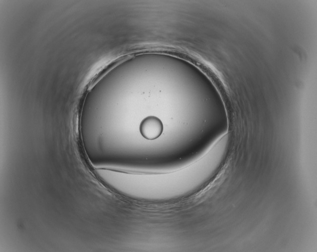 X0000115181365200911121752