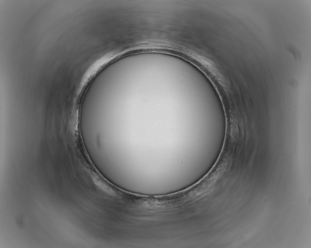 X0000115181366200911121752