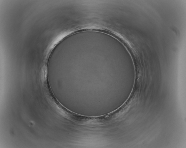 X0000115181367200911121752