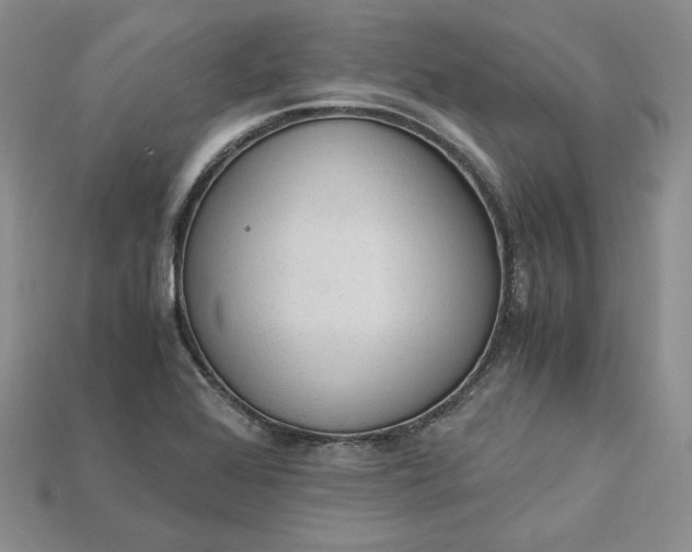 X0000115181368200911121752