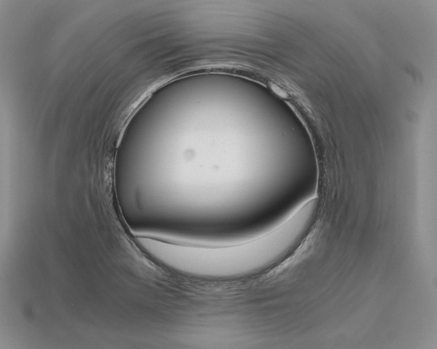 X0000115181369200911121752