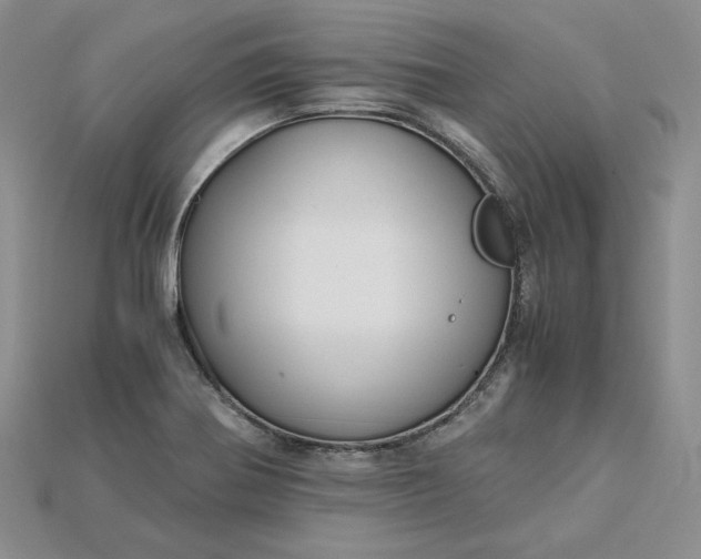 X0000115181370200911121752
