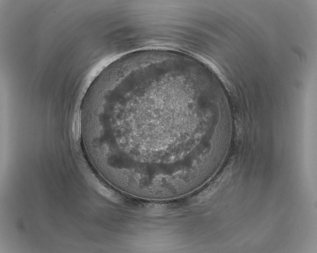 X0000115181371200911121752