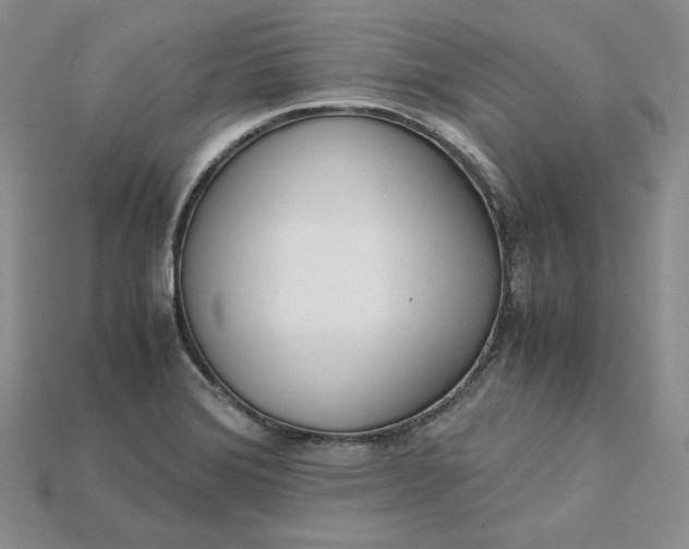 X0000115181372200911121752