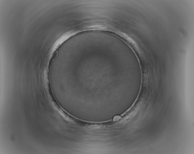 X0000115181373200911121752