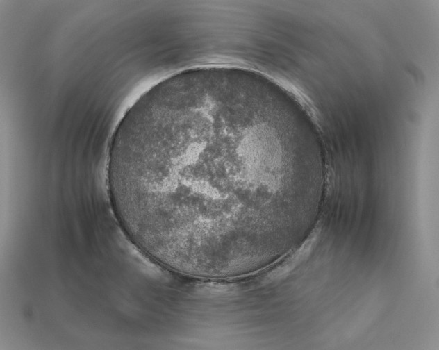 X0000115181374200911121752
