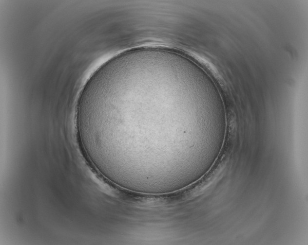 X0000115181375200911121752