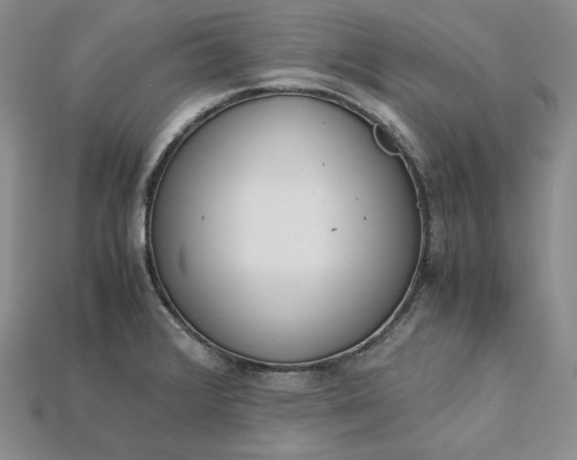 X0000115181376200911121752