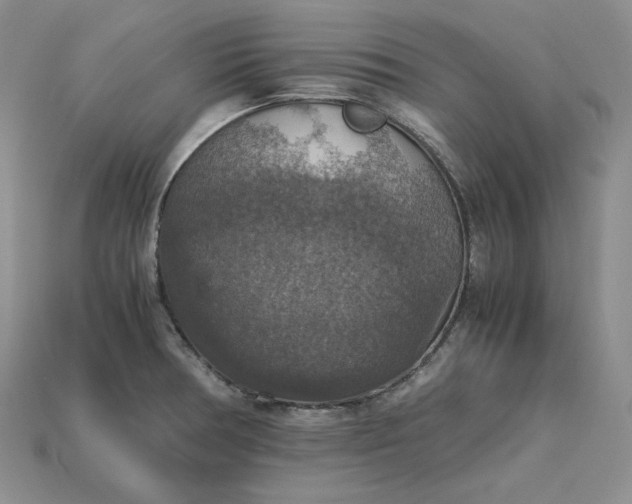 X0000115181378200911121752