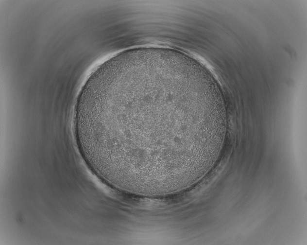 X0000115181379200911121752