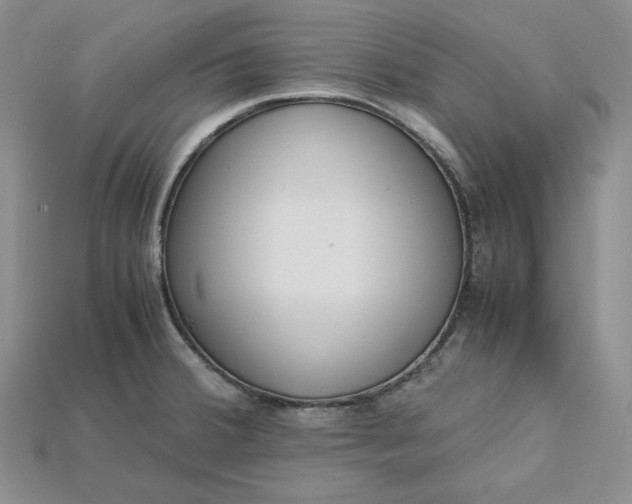 X0000115181380200911121752