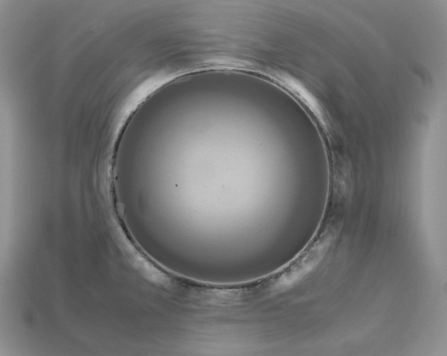 X0000115181381200911121752