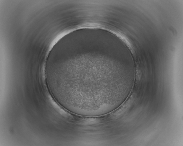 X0000115181382200911121752