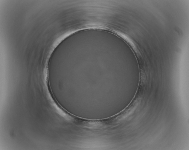 X0000115181383200911121752