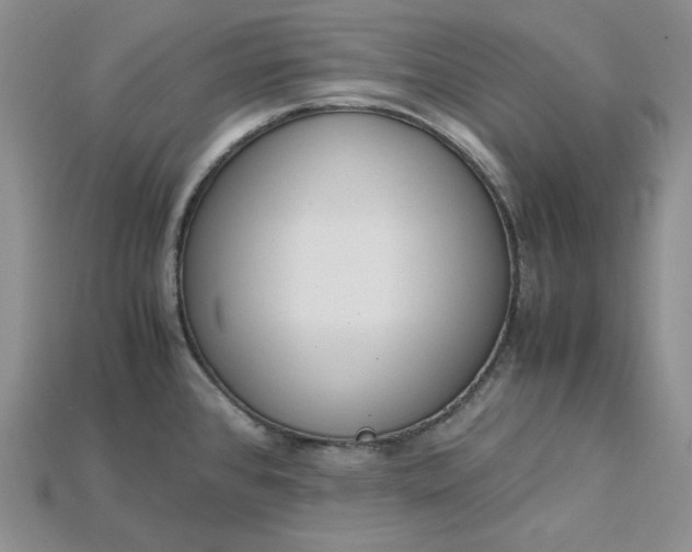 X0000115181384200911121752