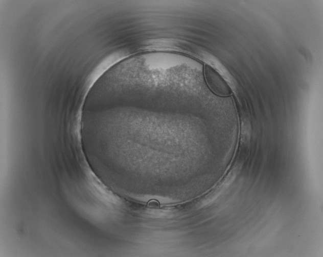 X0000115181386200911121751