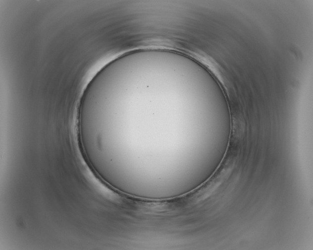 X0000115181387200911121751