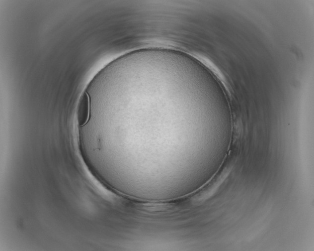X0000115181391200911121751