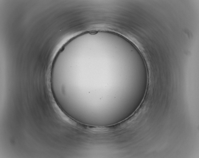 X0000115181392200911121751